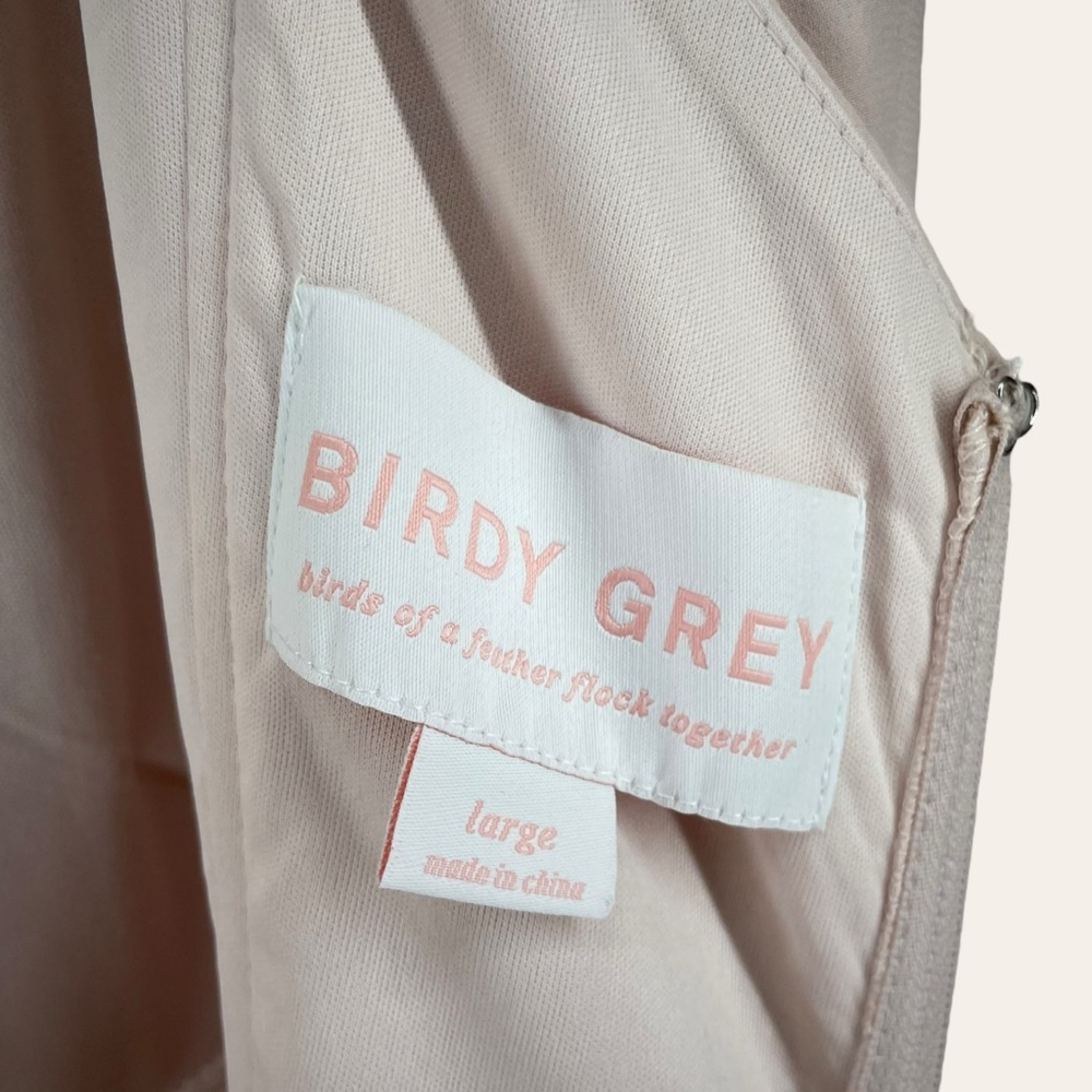 Birdy Grey SPENSE Dress in Pale Blush - Picture 6 of 8